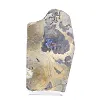 Polish Schalenblende, 145 g, raw and polished slice - 5