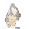 Polish Schalenblende wide slice for display cabinet - 2
