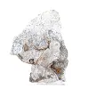 Polish Schalenblende wide slice for display cabinet - 5