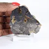 Polish Schalenblende wide slice for display cabinet - 1