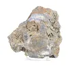 Polish Schalenblende thick slice on acrylic stand - 5