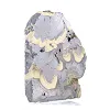 Polish Schalenblende on stand, 240 g slice - 2
