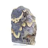 Polish Schalenblende on stand, 240 g slice - 4