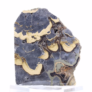 Polish Schalenblende on stand, 240 g slice