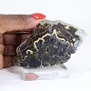 Polish Schalenblende, large mineral slice, 290 g - 1