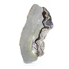 Polish Schalenblende elongated slice on acrylic stand - 0