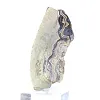 Polish Schalenblende elongated slice on acrylic stand - 2