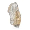 Polish Schalenblende elongated slice on acrylic stand - 5