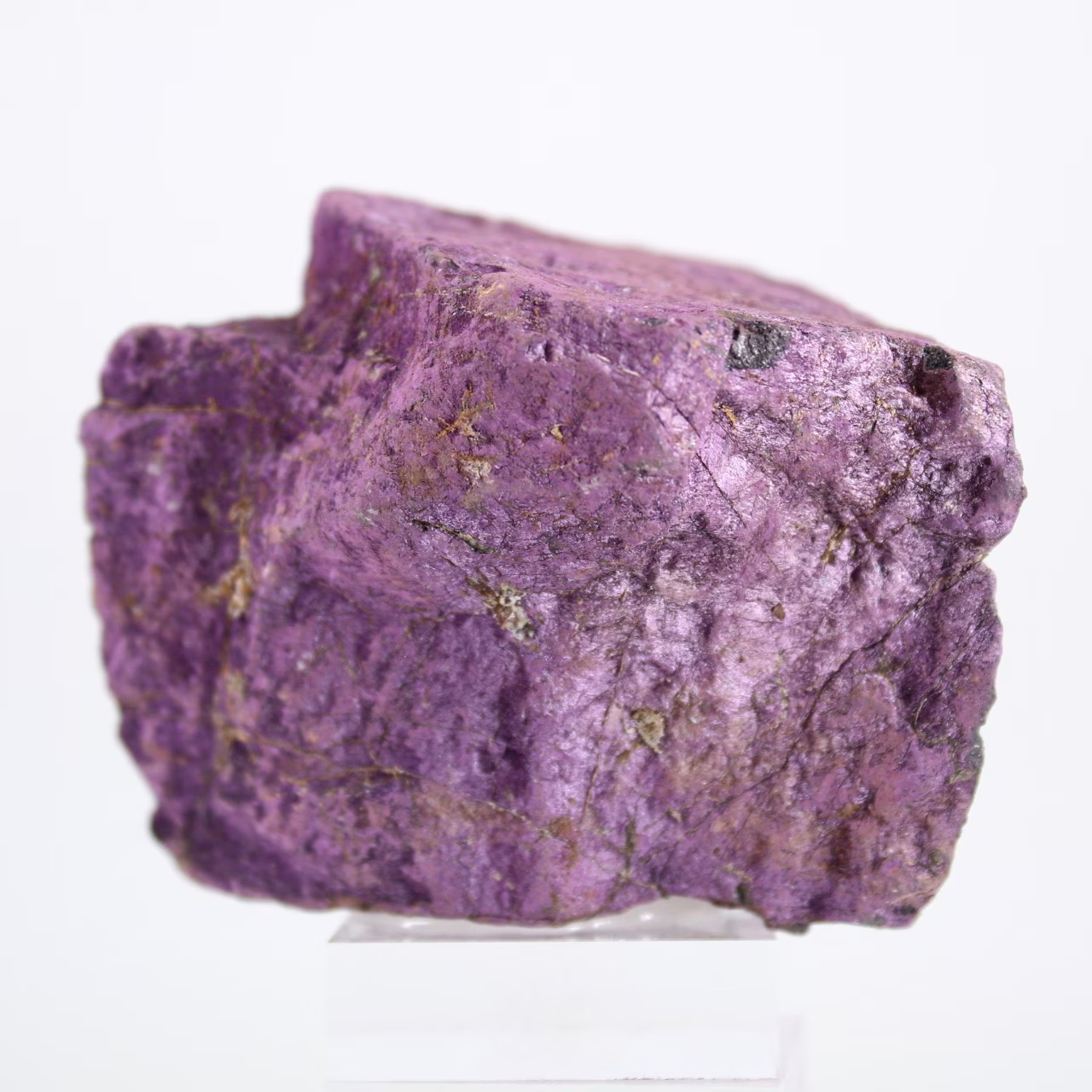 Raw Purpurite specimen from Portugal on stand