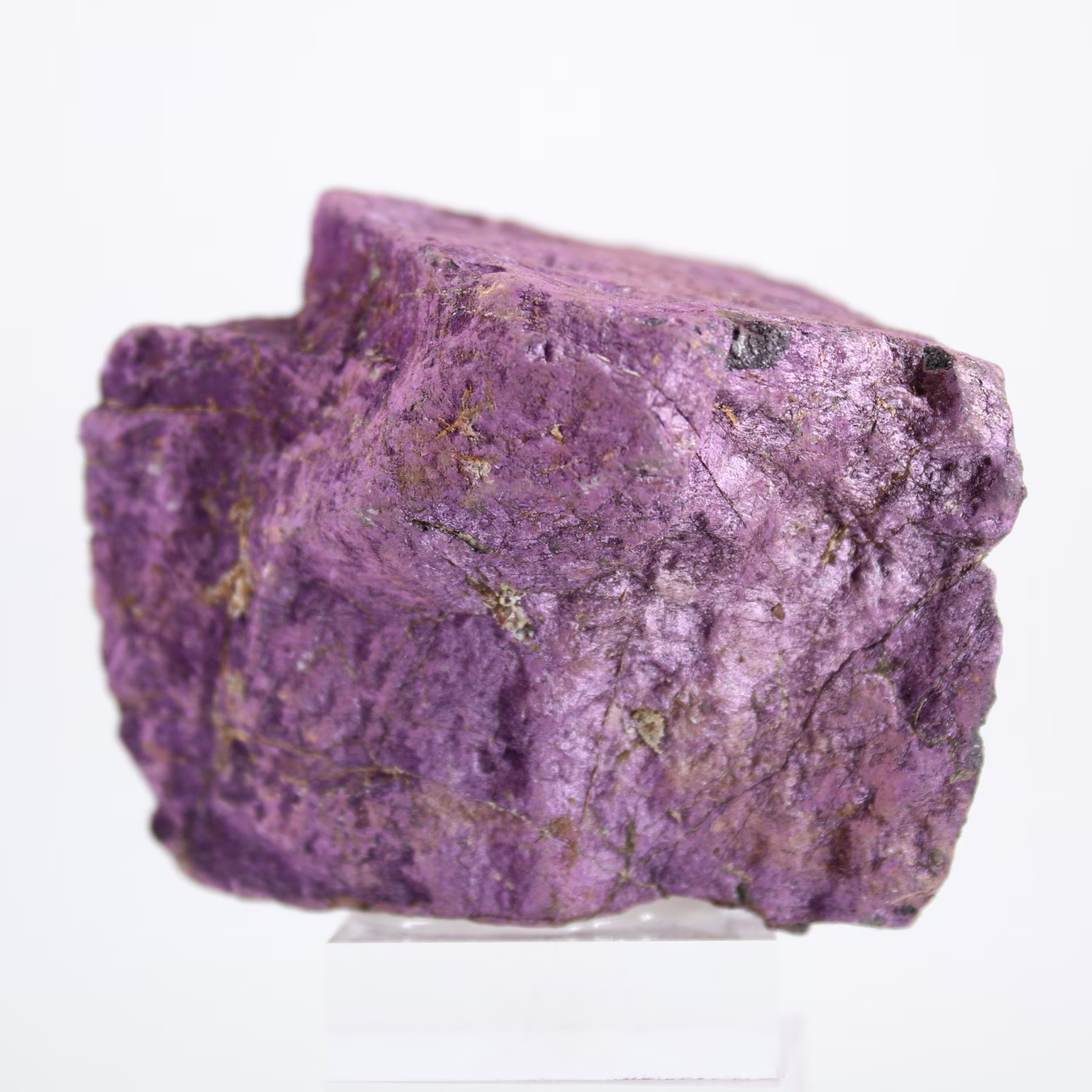 Raw Purpurite specimen from Portugal on stand
