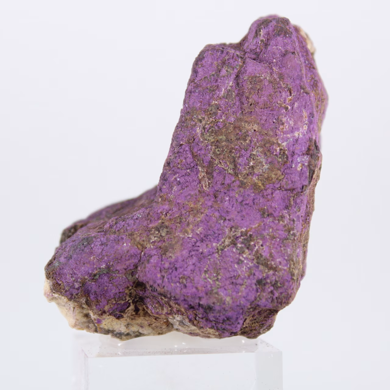 Purpurite from Portugal on stand – Raw natural mineral